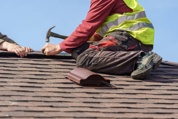 Best Roof Restoration Services  in Belle, WV