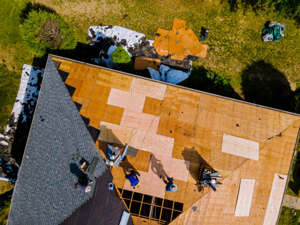 Best Roof Leak Repair  in Belle, WV