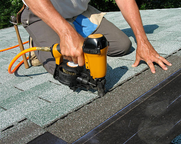 Best Roof Maintenance Services  in Belle, WV