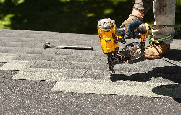 Best Roof Maintenance Services  in Belle, WV
